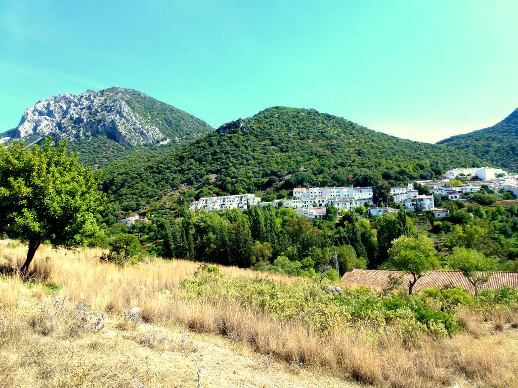 Casa Rural El Aljibe Бенамаома Екстериор снимка